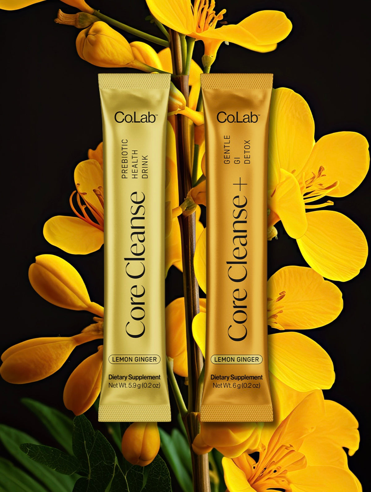 Core Cleanse Wholesale